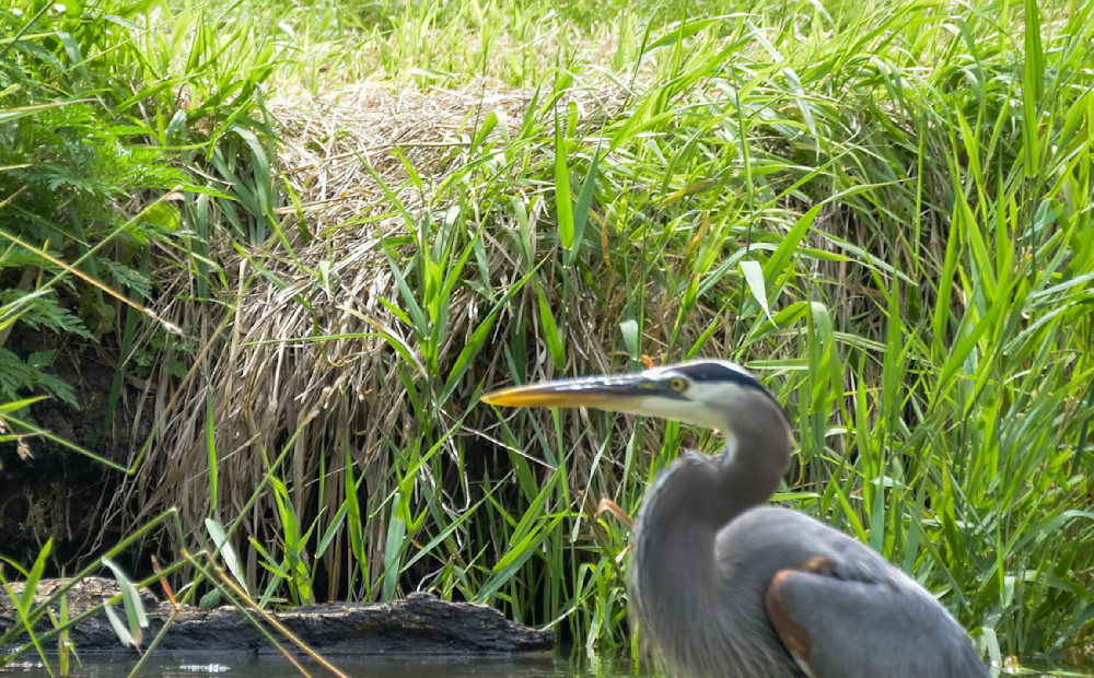 20250624 001655611 I Os Photography Art | Photos By Regan