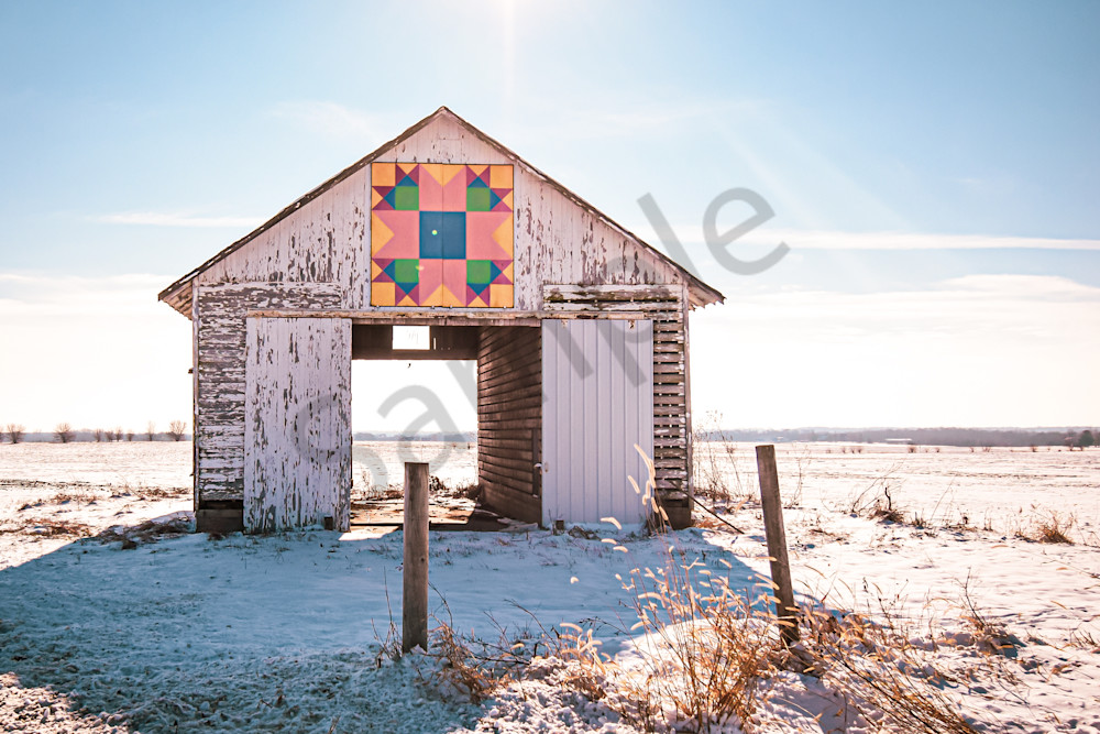 Dsc0067 4 Photography Art | Photos By Regan