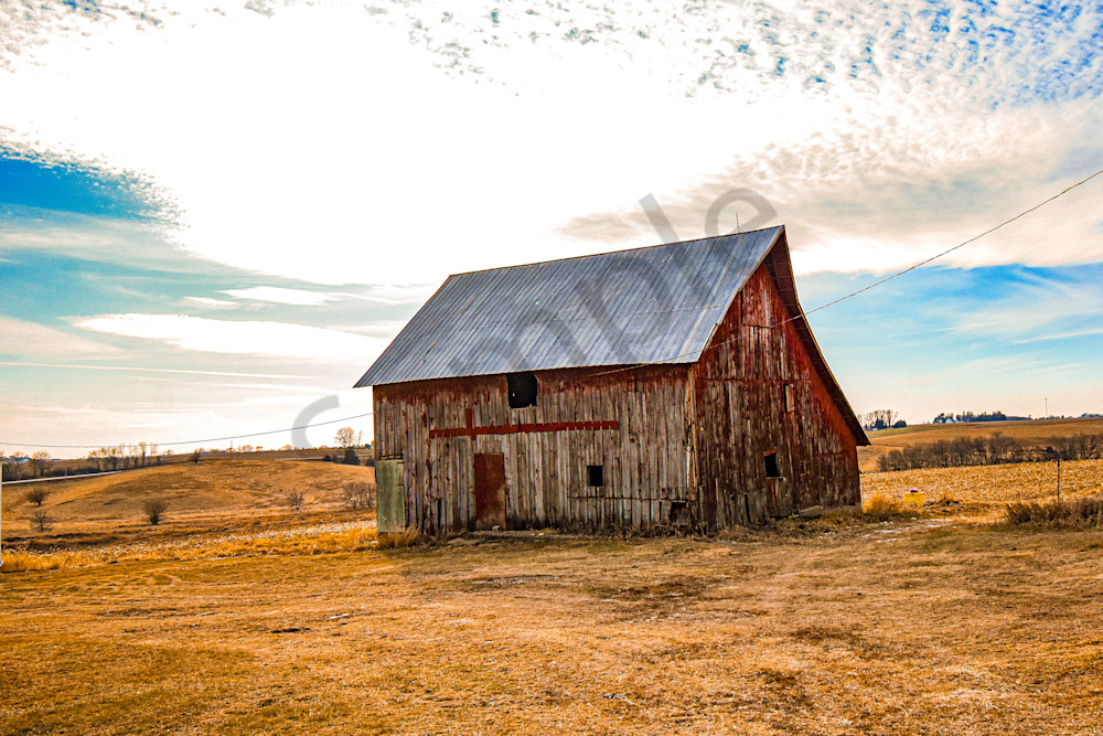 Dsc0066 Photography Art | Photos By Regan