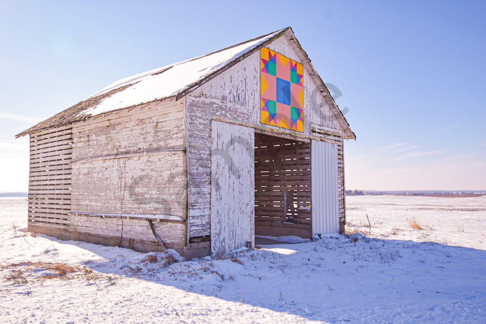 Dsc0068 3 Photography Art | Photos By Regan