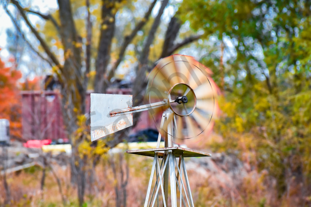 Dsc0068 Photography Art | Photos By Regan