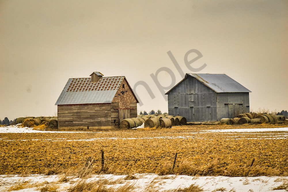 Dsc0060 Photography Art | Photos By Regan