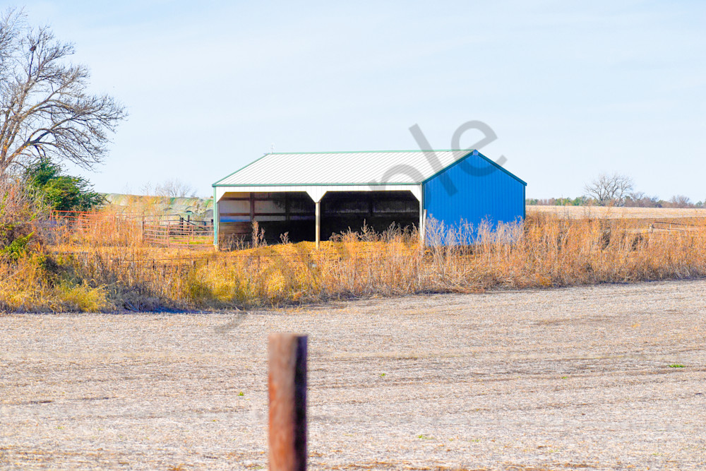 Dsc0007 3 Photography Art | Photos By Regan