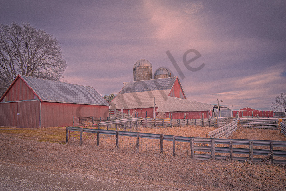 Dsc0015 6 Photography Art | Photos By Regan