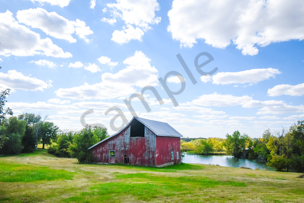 Dsc0057 Photography Art | Photos By Regan