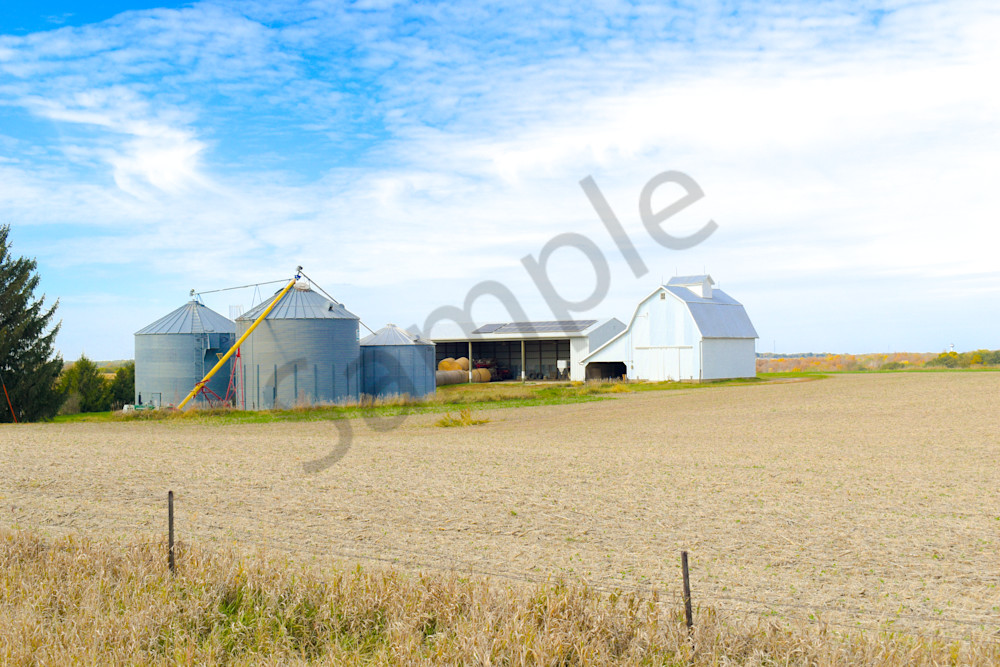 Dsc0069 3 Photography Art | Photos By Regan