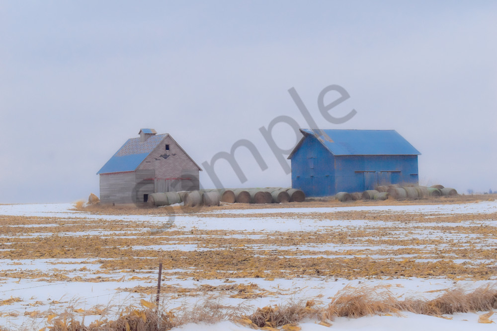 Dsc0072 3 Photography Art | Photos By Regan