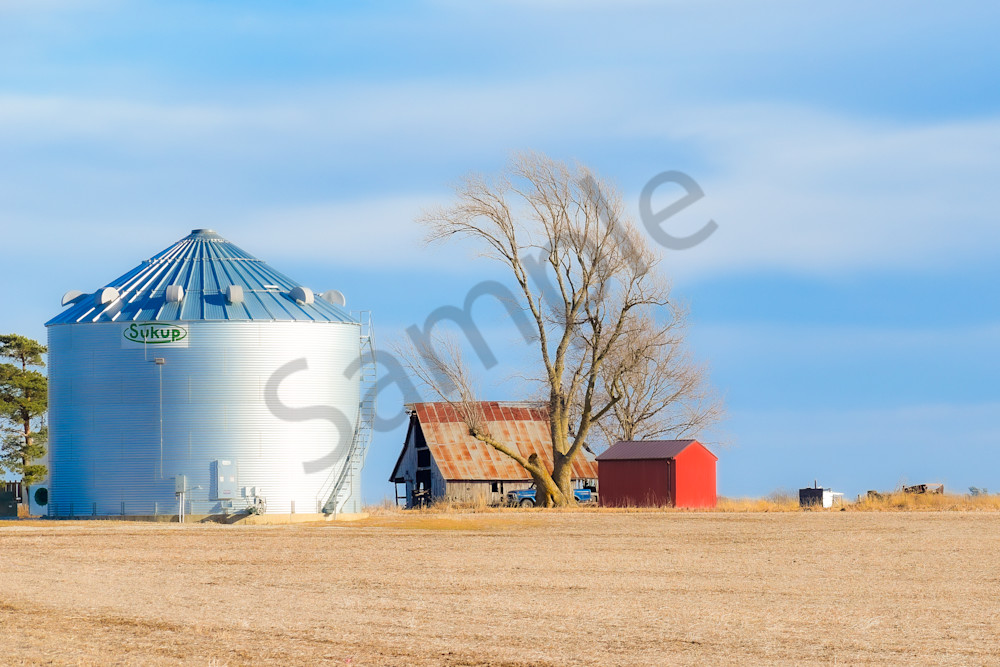 Dsc0081 9 Photography Art | Photos By Regan