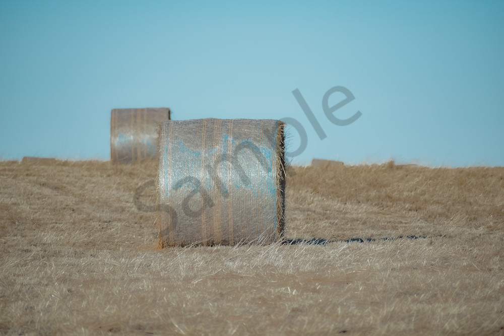 Dsc0094 4 Photography Art | Photos By Regan