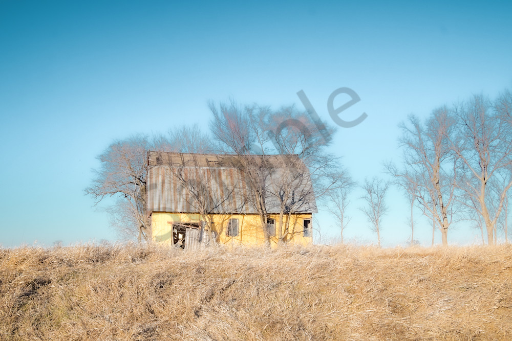 Dsc0099 5 Photography Art | Photos By Regan