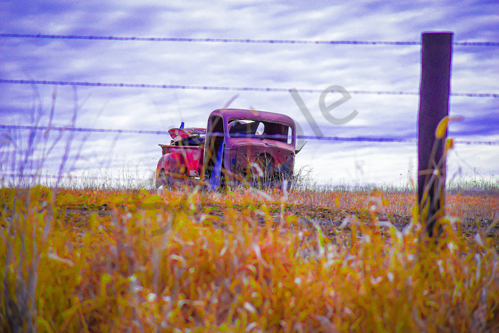 Dsc0099 2 Photography Art | Photos By Regan