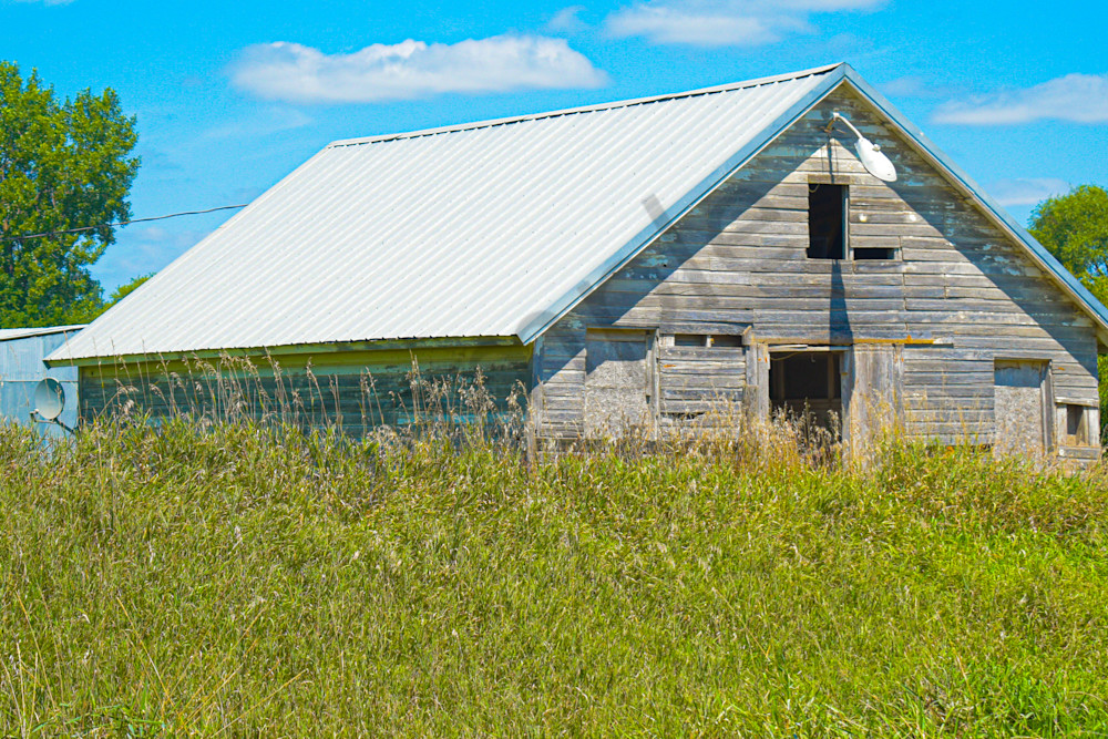 Dsc0101 Photography Art | Photos By Regan