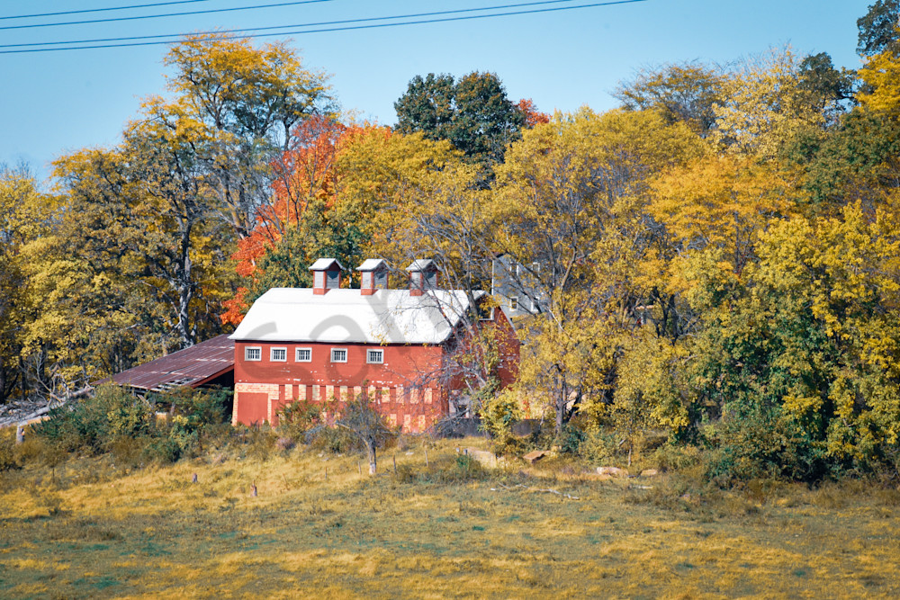 Dsc0104 2 Photography Art | Photos By Regan