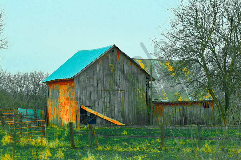 Dsc0111 5 Photography Art | Photos By Regan