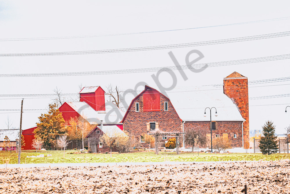 Dsc0117 Photography Art | Photos By Regan