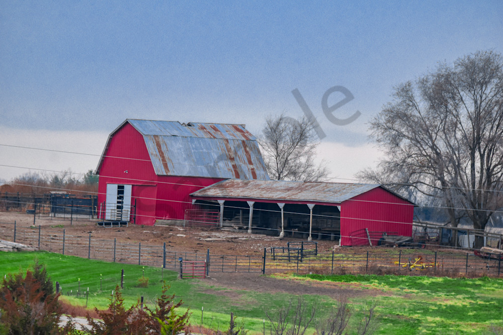 Dsc0129 2 Photography Art | Photos By Regan