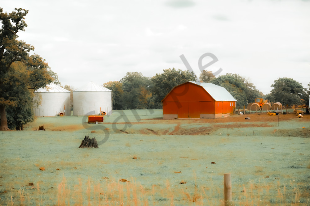 Dsc0133 Photography Art | Photos By Regan