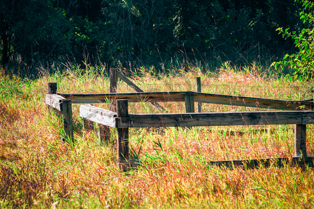 Dsc0130 2 Photography Art | Photos By Regan