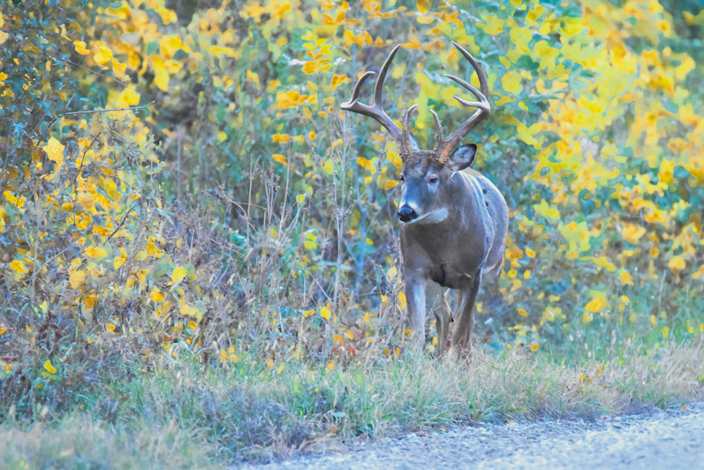 Dsc0002 2 Photography Art | Photos By Regan
