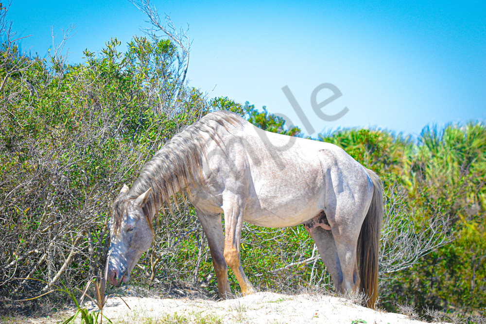 Dsc0192 Photography Art | Photos By Regan
