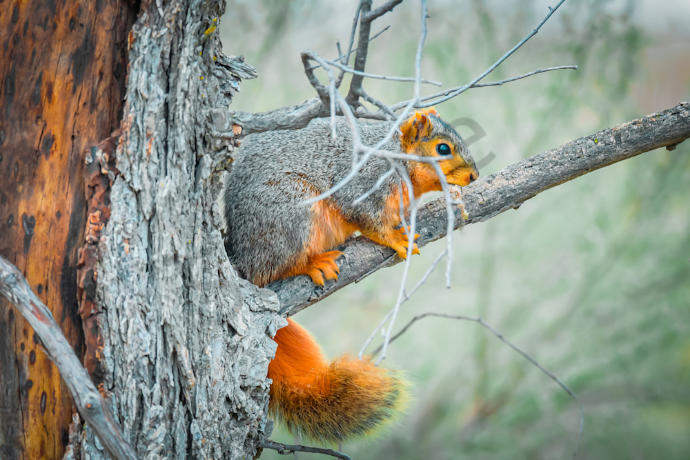 Dsc0183 Photography Art | Photos By Regan