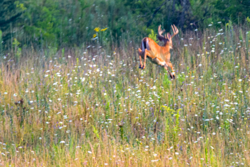 Dsc0869 Photography Art | Photos By Regan