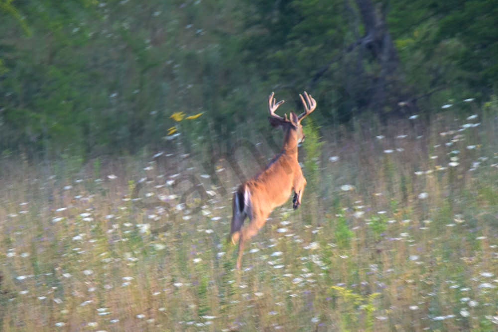 Dsc0868 Photography Art | Photos By Regan