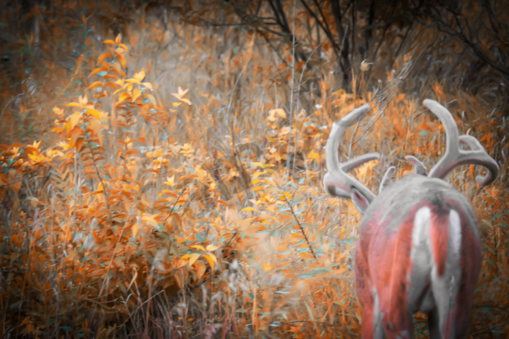 Dsc0210 Photography Art | Photos By Regan