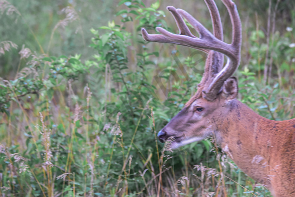 Dsc0208 Photography Art | Photos By Regan