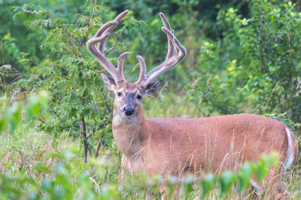 Dsc0256 Photography Art | Photos By Regan