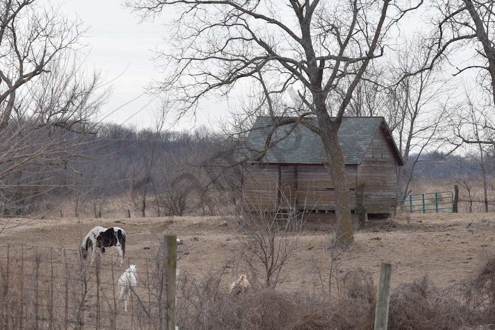 Farmhouse 63.Jpg Photography Art | Photos By Regan
