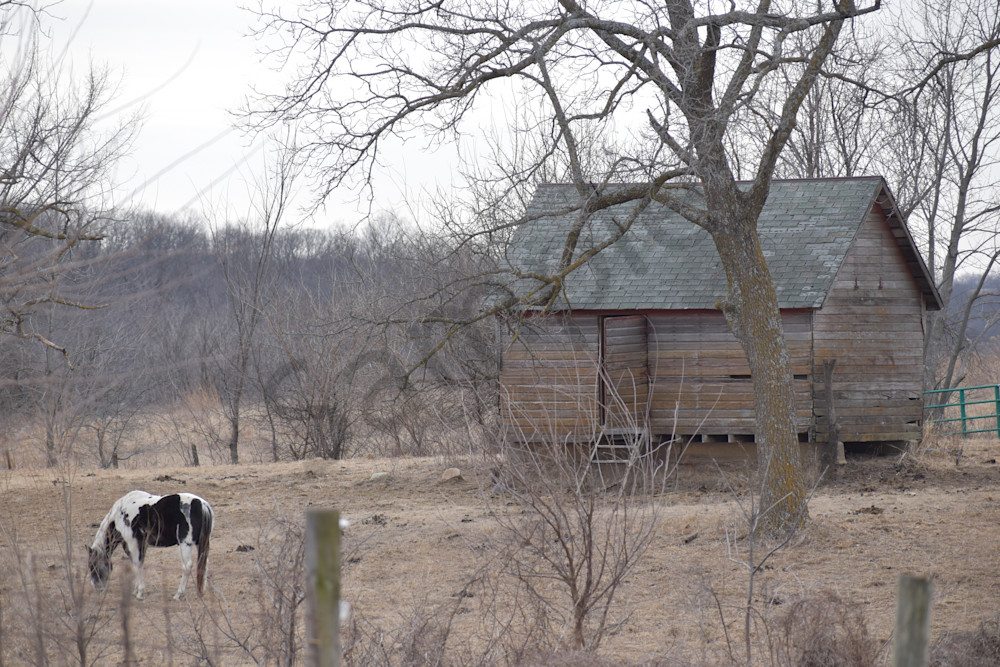 Farmhouse 64.Jpg Photography Art | Photos By Regan