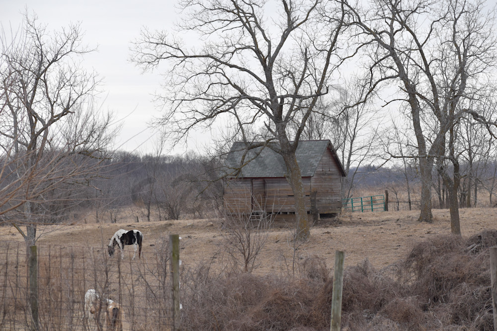 Farmhouse 65.Jpg Photography Art | Photos By Regan