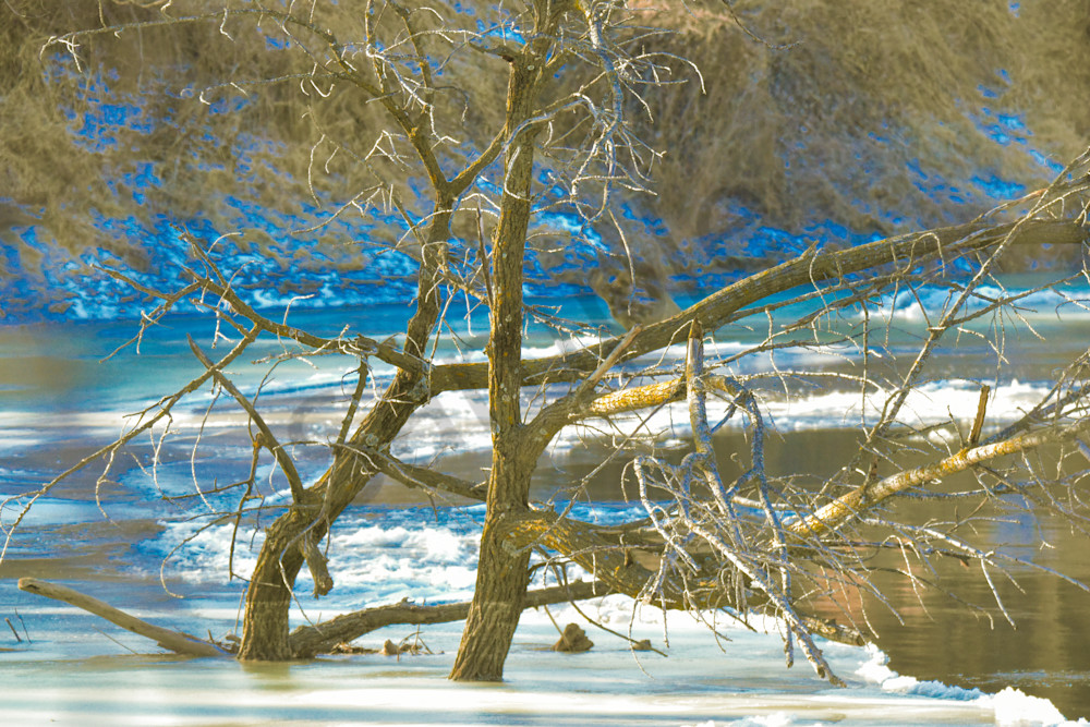 Wildlife 5.Jpg Photography Art | Photos By Regan