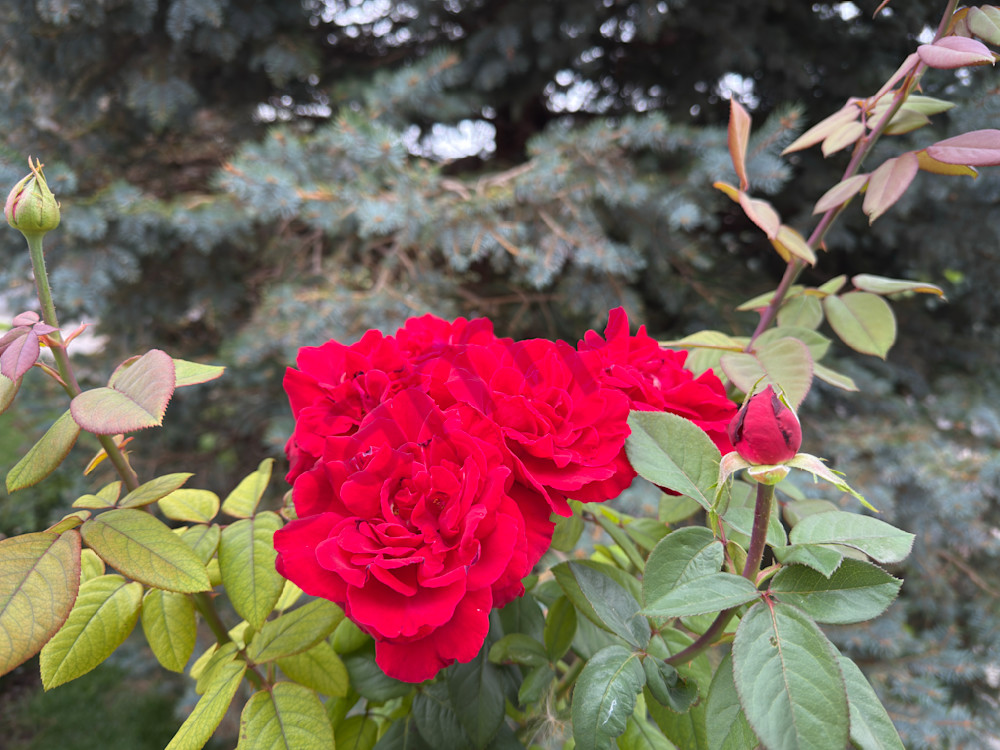 Img 6050.Jpeg Art | MANN uP Art