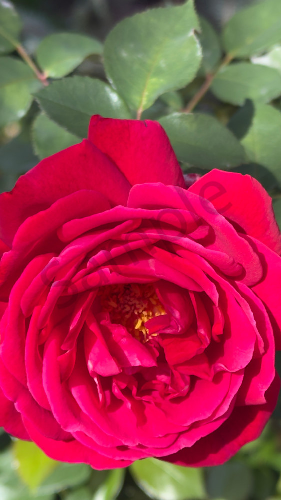 Img 6571.Jpeg Art | MANN uP Art