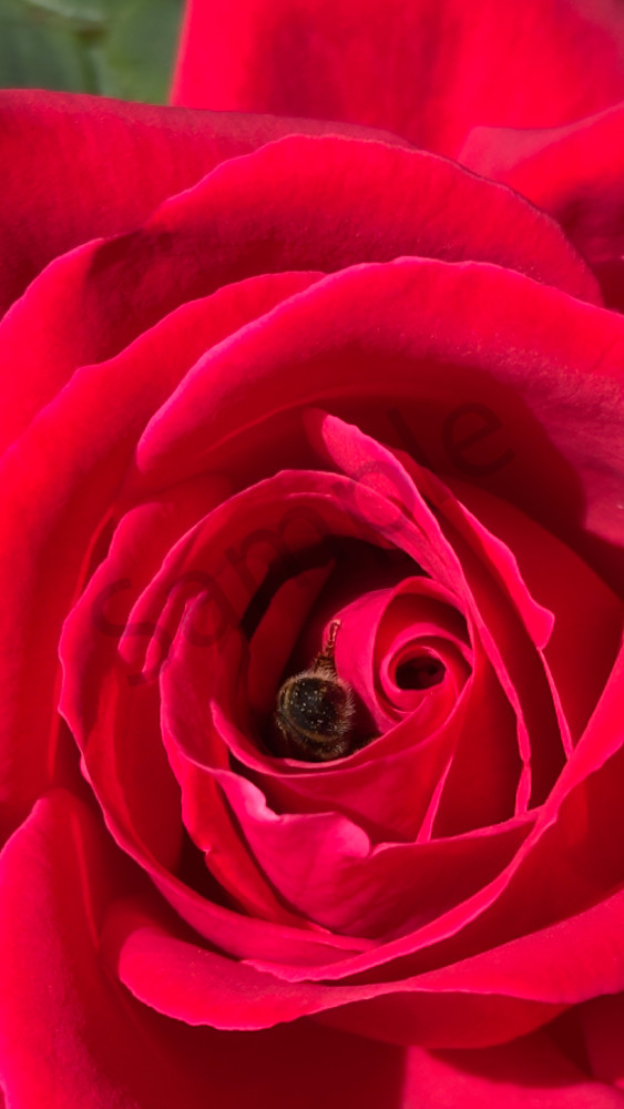 Img 6583.Jpeg Art | MANN uP Art