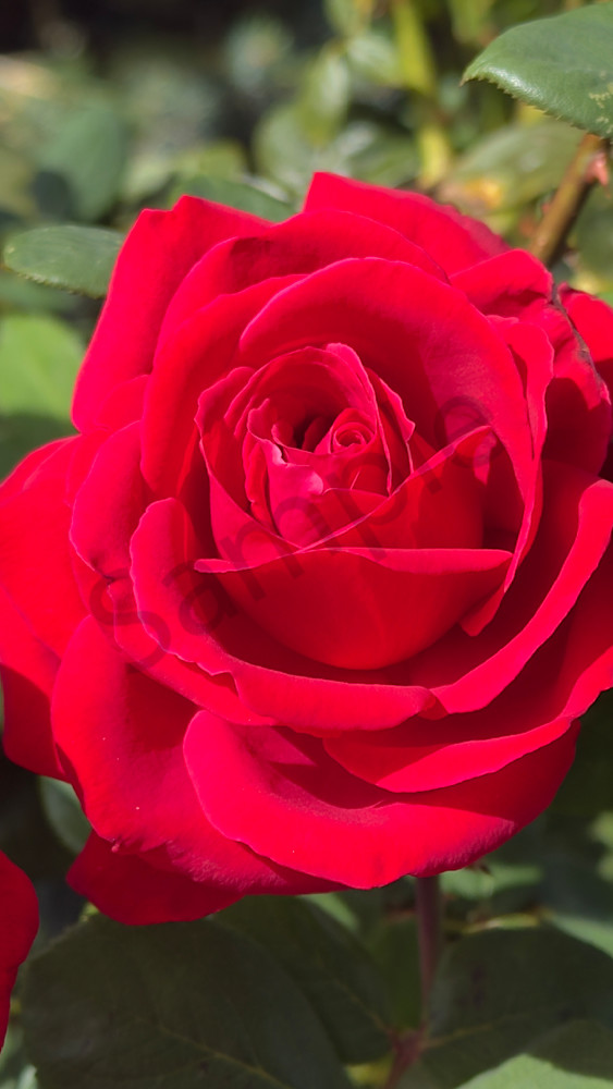 Img 6578.Jpeg Art | MANN uP Art