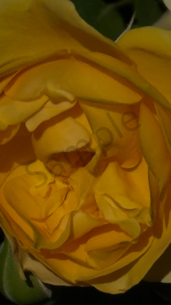 Img 6616.Jpeg Art | MANN uP Art