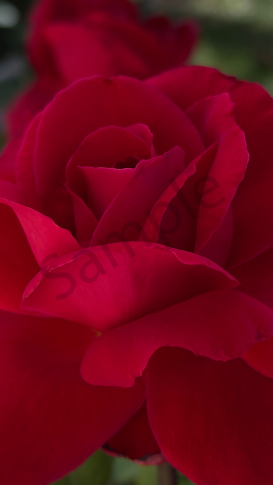 Img 6637.Jpeg Art | MANN uP Art