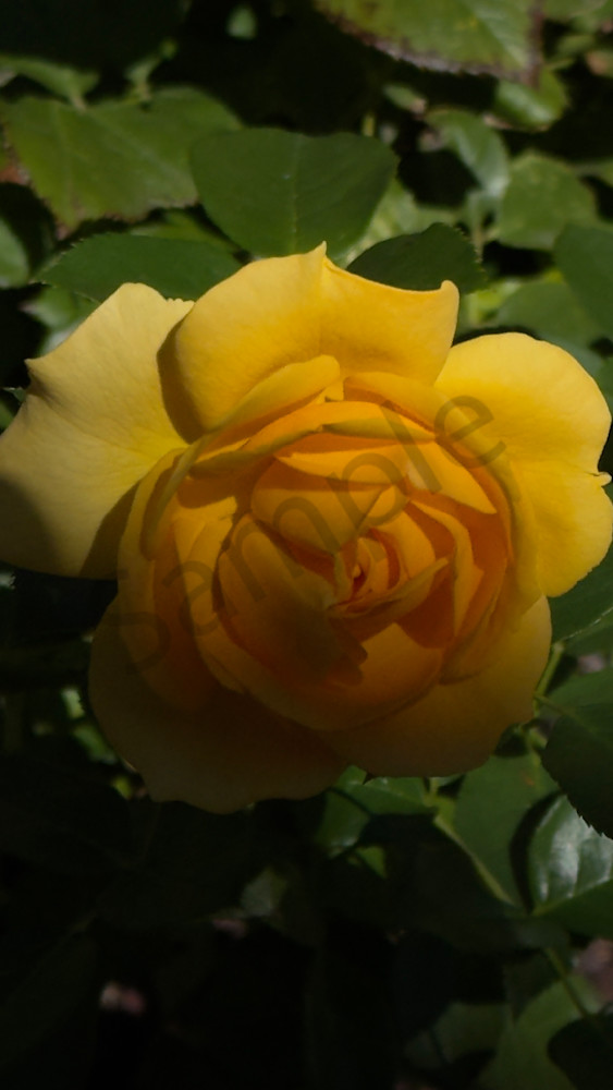 Img 6629.Jpeg Art | MANN uP Art