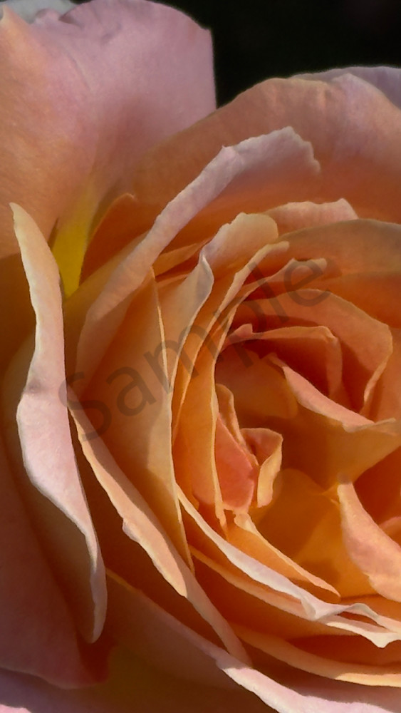 Img 6670.Jpeg Art | MANN uP Art