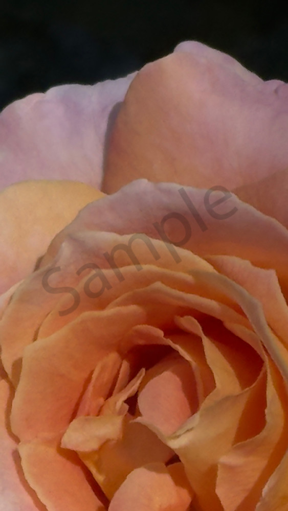 Img 6666.Jpeg Art | MANN uP Art