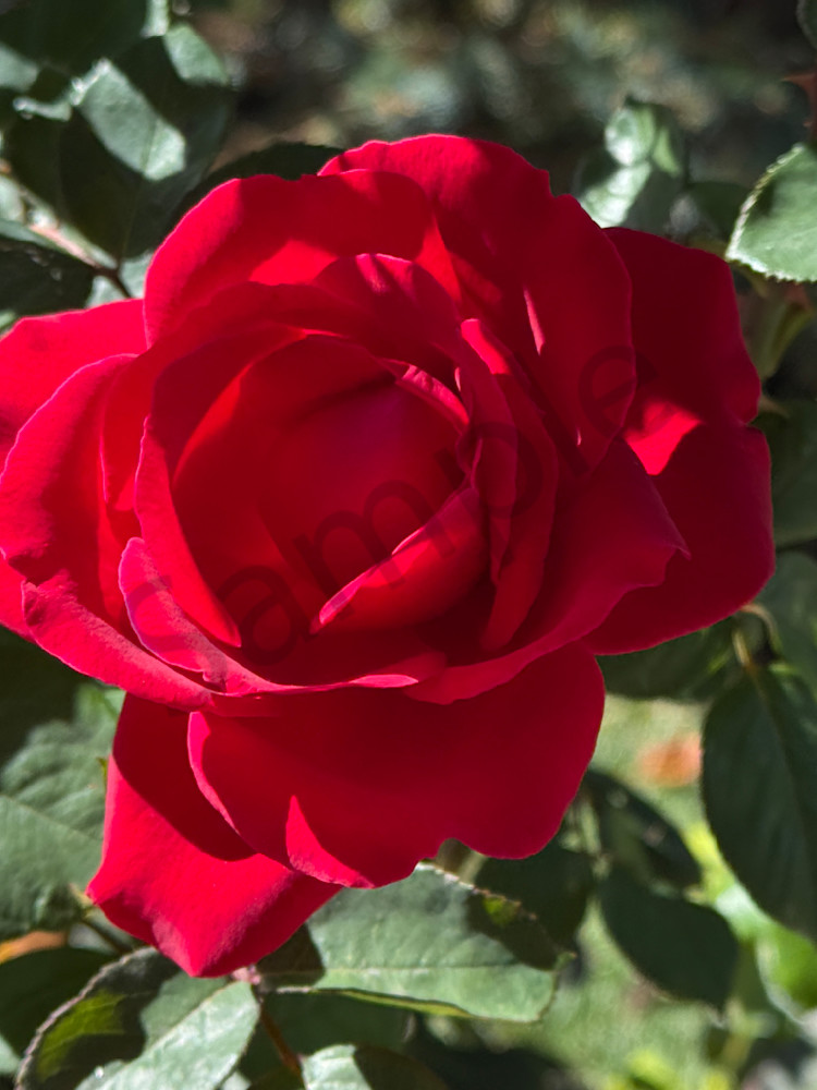 Img 6716.Jpeg Art | MANN uP Art