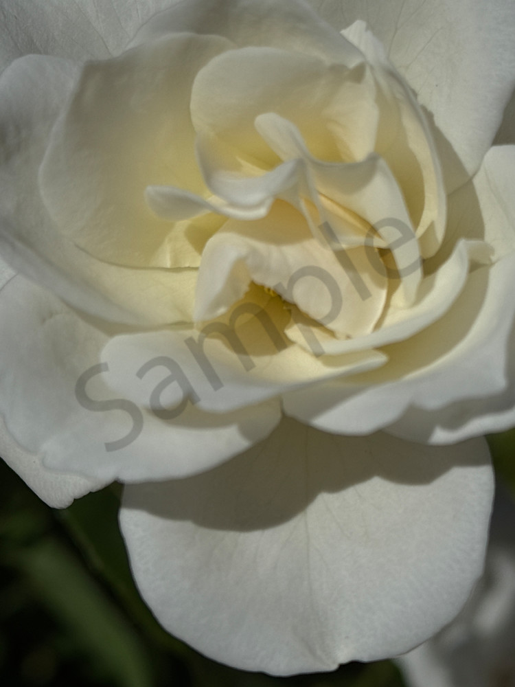 Img 6712.Jpeg Art | MANN uP Art