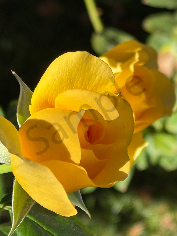 Img 6767.Jpeg Art | MANN uP Art