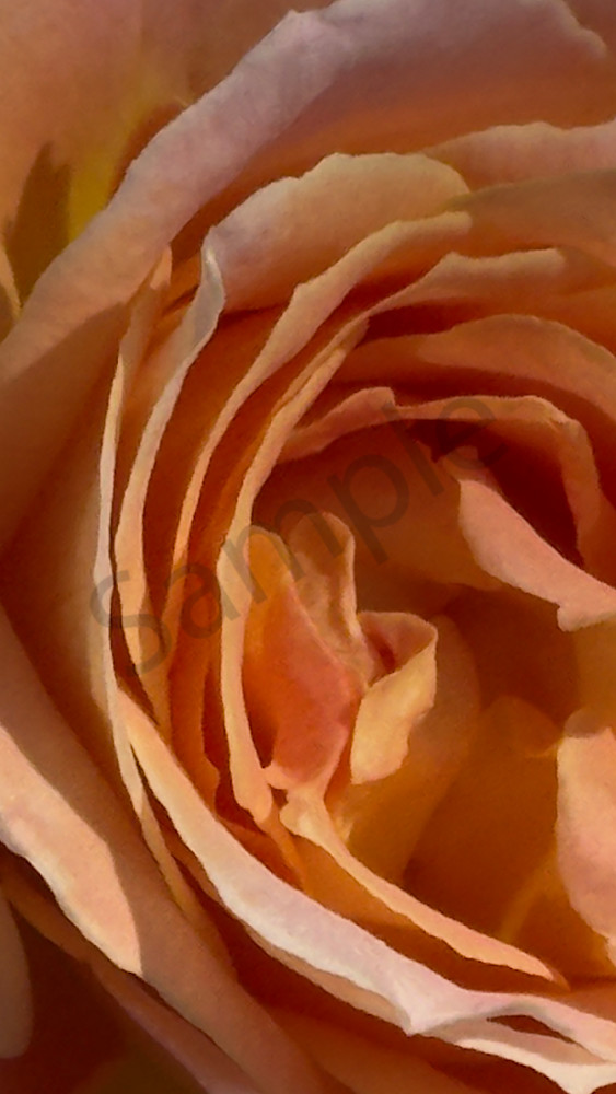 Img 6667.Jpeg Art | MANN uP Art