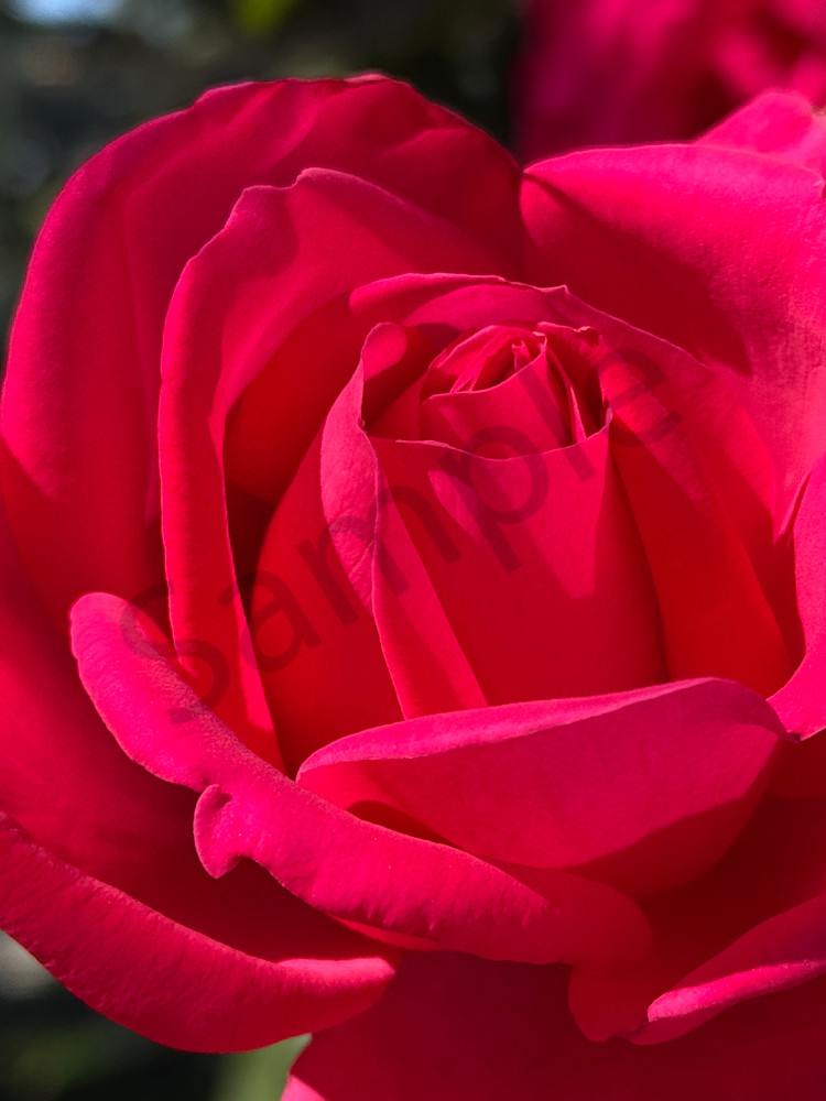 Img 6708.Jpeg Art | MANN uP Art