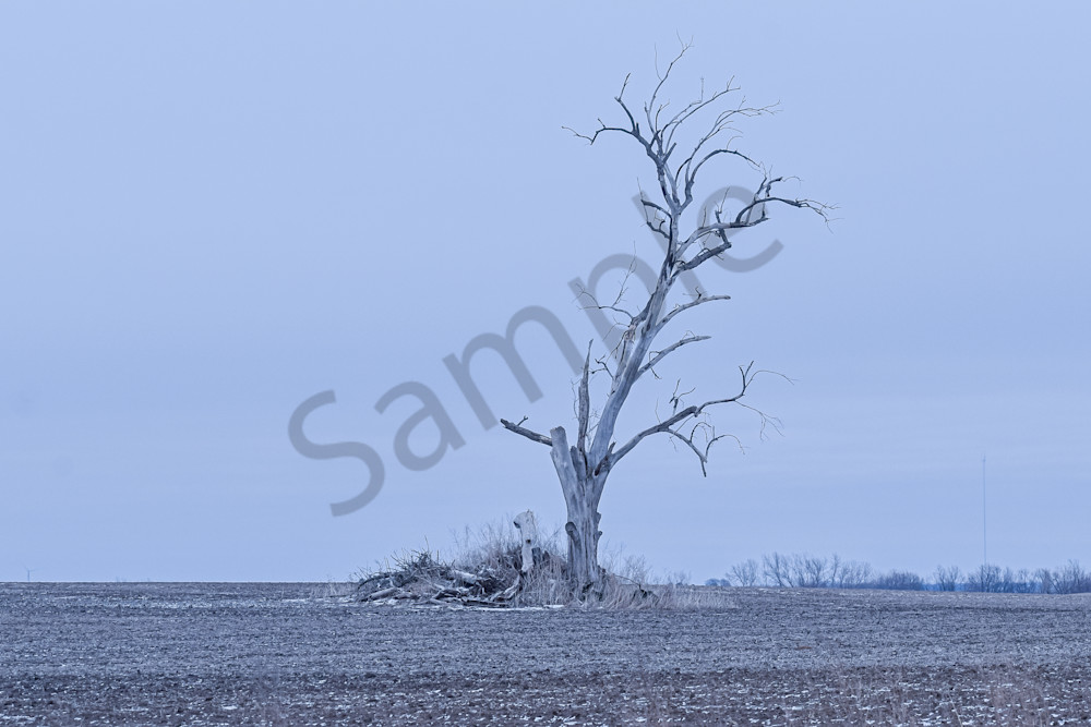 Farmhouses 34.Jpg Photography Art | Photos By Regan