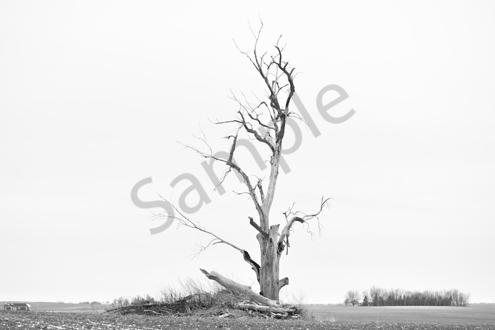 Farmhouses 35.Jpg Photography Art | Photos By Regan